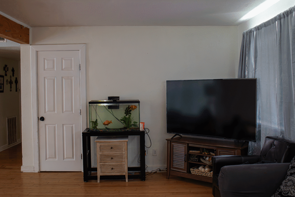 Fish tank